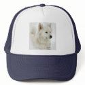 American Eskimo Dog Gifts hats