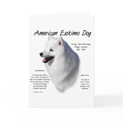 American Eskimo Dog History Design by GreyWolfCreation