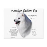American Eskimo Dog History Design Post Card