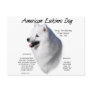 American Eskimo Dog History Design