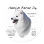 American Eskimo Dog History Design