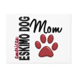 American Eskimo Dog Mum 2