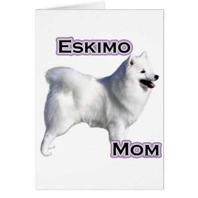 American Eskimo Dog Mum 4 Card by GreyWolfCreation
