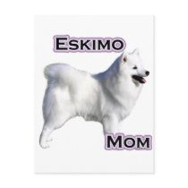 American Eskimo Dog Mum 4