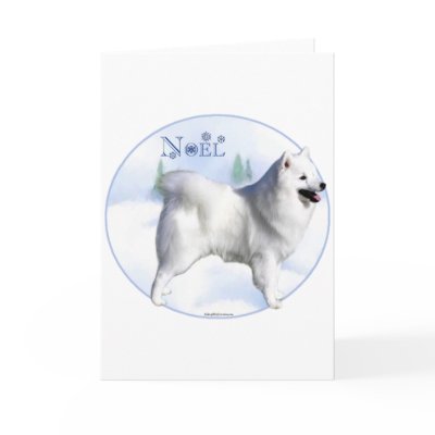 American Eskimo Dog Noel by GreyWolfCreation