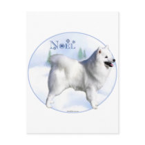 American Eskimo Dog Noel