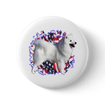 American Eskimo Dog Patriot by GreyWolfCreation