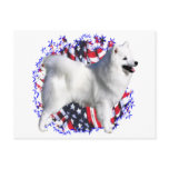 American Eskimo Dog Patriot Postcard