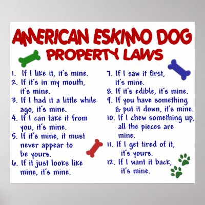 AMERICAN ESKIMO DOG PL2 by poochloverstuff