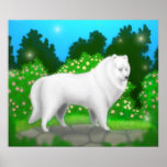 American Eskimo Dog Poster posters