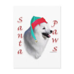 American Eskimo Dog Santa Paws Postcard