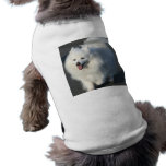 American Eskimo Dog Clothes