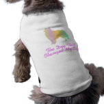 American Eskimo pet clothing