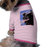 American Eskimo pet clothing