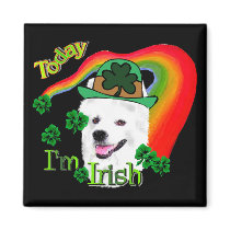 American Eskimo Dog St Patricks Refrigerator Magnet