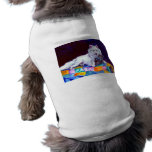 American Eskimo Dog Sweater pet clothing