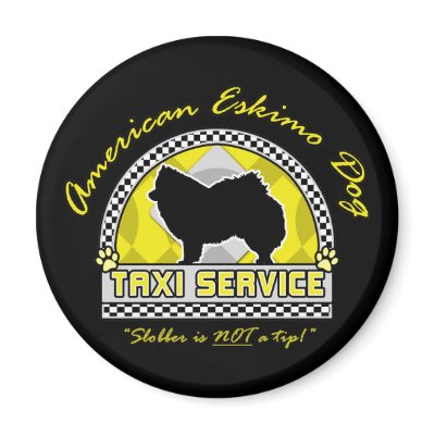 American Eskimo Dog Taxi Service by MenagerieMayhem