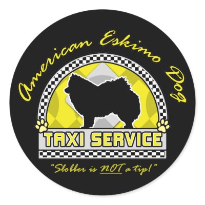 American Eskimo Dog Taxi Service by MenagerieMayhem