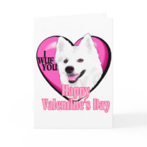 American Eskimo Dog Valentines Card