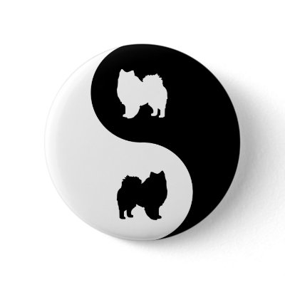 American Eskimo Dog Yin Yang Pinback Button by dogwiregifts