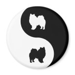 American Eskimo Dog Yin Yang Magnet