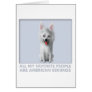American Eskimo Favourite