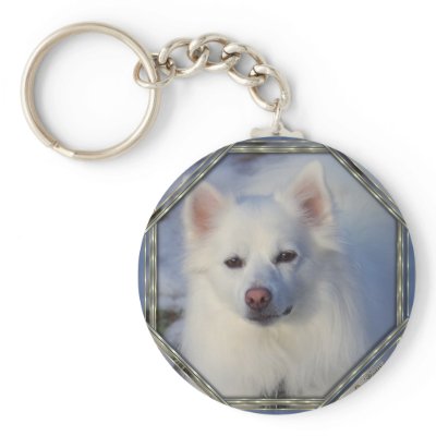 American eskimo Frame 1 Keychains by Sunstruck