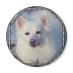 American eskimo Frame 1 Refrigerator Magnet
