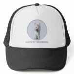 American Eskimo Granddog