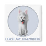 American Eskimo Granddog