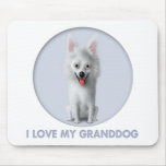 American Eskimo Granddog