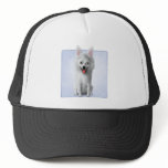 American Eskimo Mesh Hat