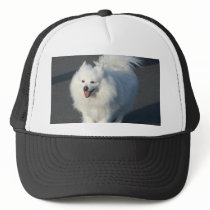American Eskimo Hat