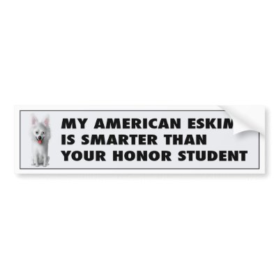 American Eskimo Honour Student by cartoondogs
