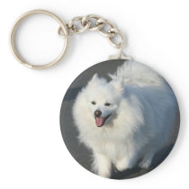 American Eskimo keychain