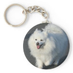 American Eskimo keychain