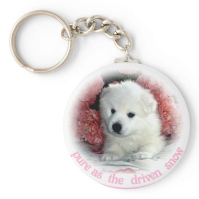 American Eskimo Keychain by knewfy