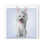 American Eskimo