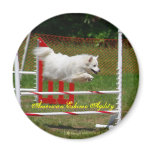 American Eskimo Magnet