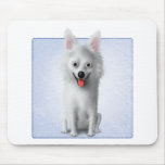 American Eskimo