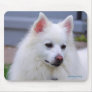 American Eskimo Mousepad