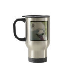 American Eskimo mug