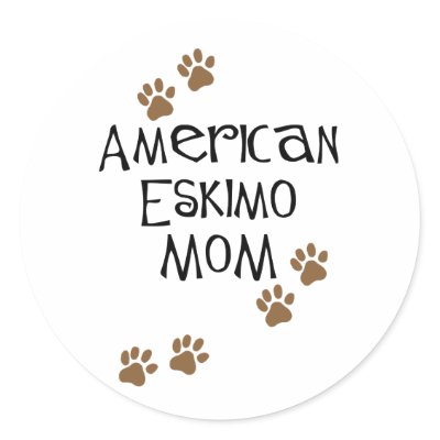 American Eskimo Mum by dogsandhorses