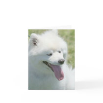 American Eskimo Notecard