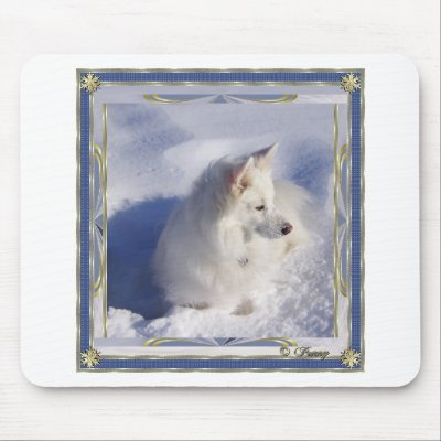 American Eskimo Ornament Frame by Sunstruck