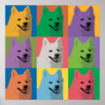 American Eskimo Pop-Art Poster posters