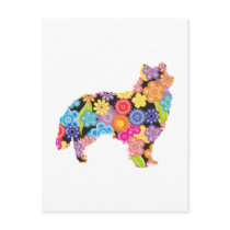 American Eskimo Postcard