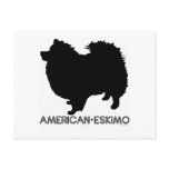 American Eskimo Postcard