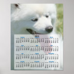 American Eskimo Poster