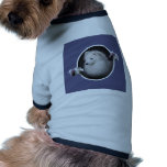American Eskimo Pretty Face pet clothing